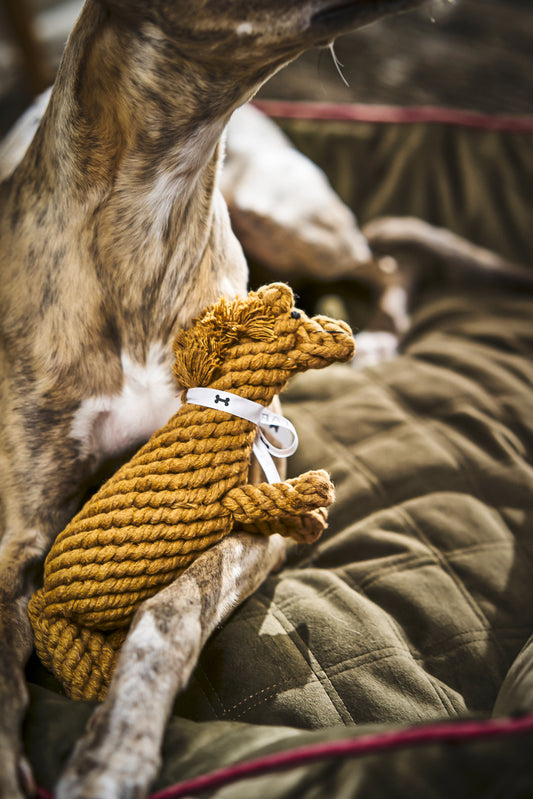 LABONI - Hundespielzeug - Franz Pferdinand