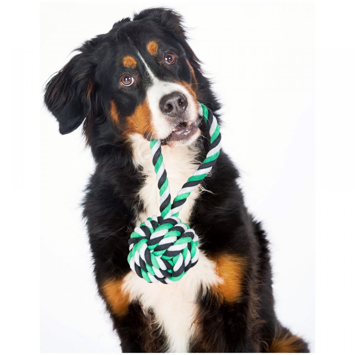 LABONI - Hundespielzeug - Schleuderball