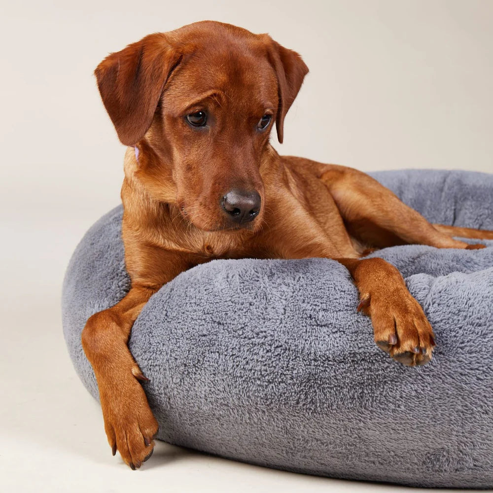 William Walker - Rundes Hundebett Comfy - Cloud