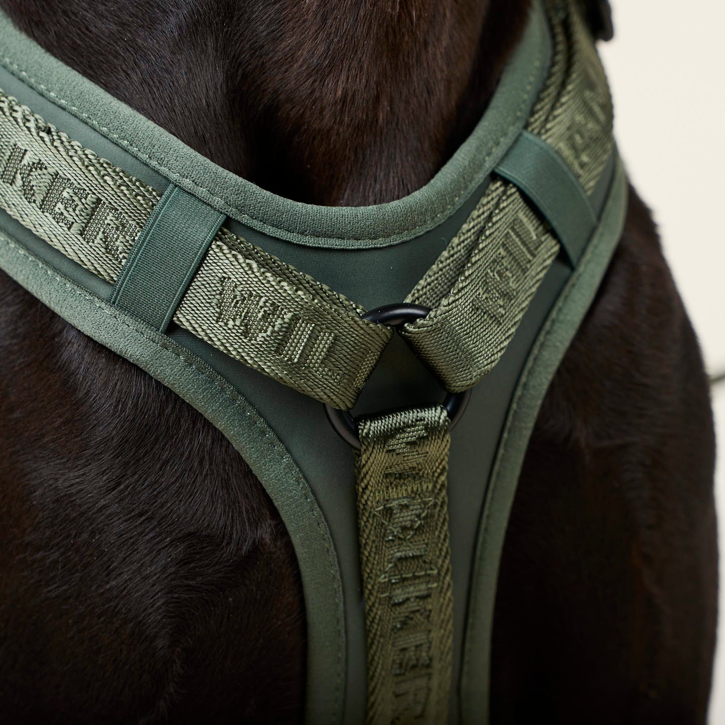 William Walker - Y-Hundegeschirr Forest - Ergonomisches Mesh- & Neopren-Geschirr (Grün)