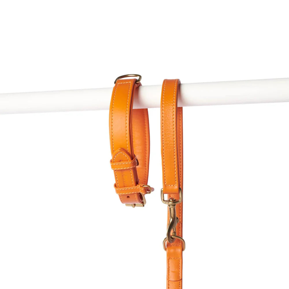 William Walker - Plain - Lederhalsband - Amber