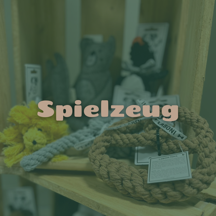 Spielzeug