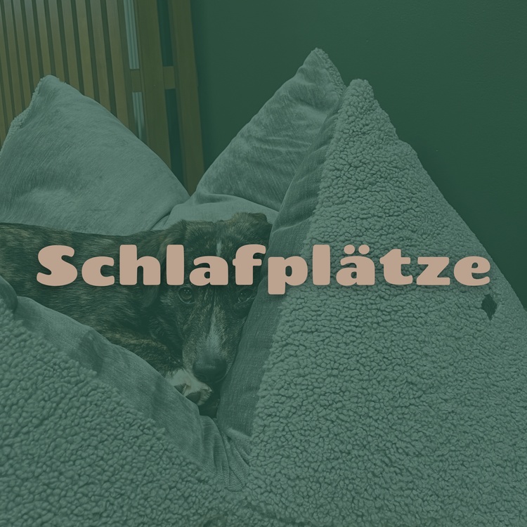 Schlafplätze