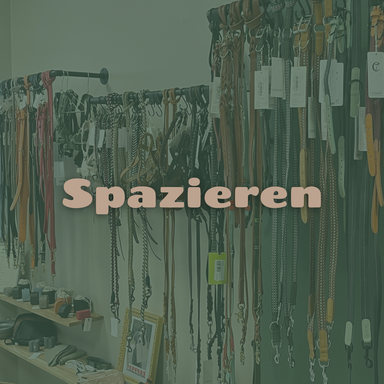 Spazieren