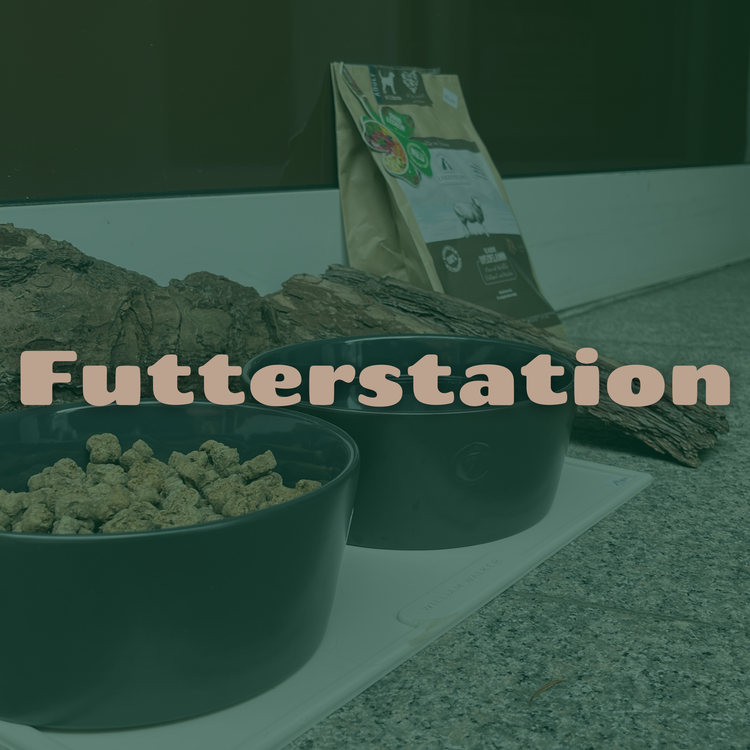 Futterstation