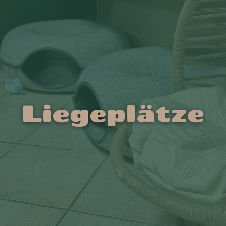 Liegeplätze