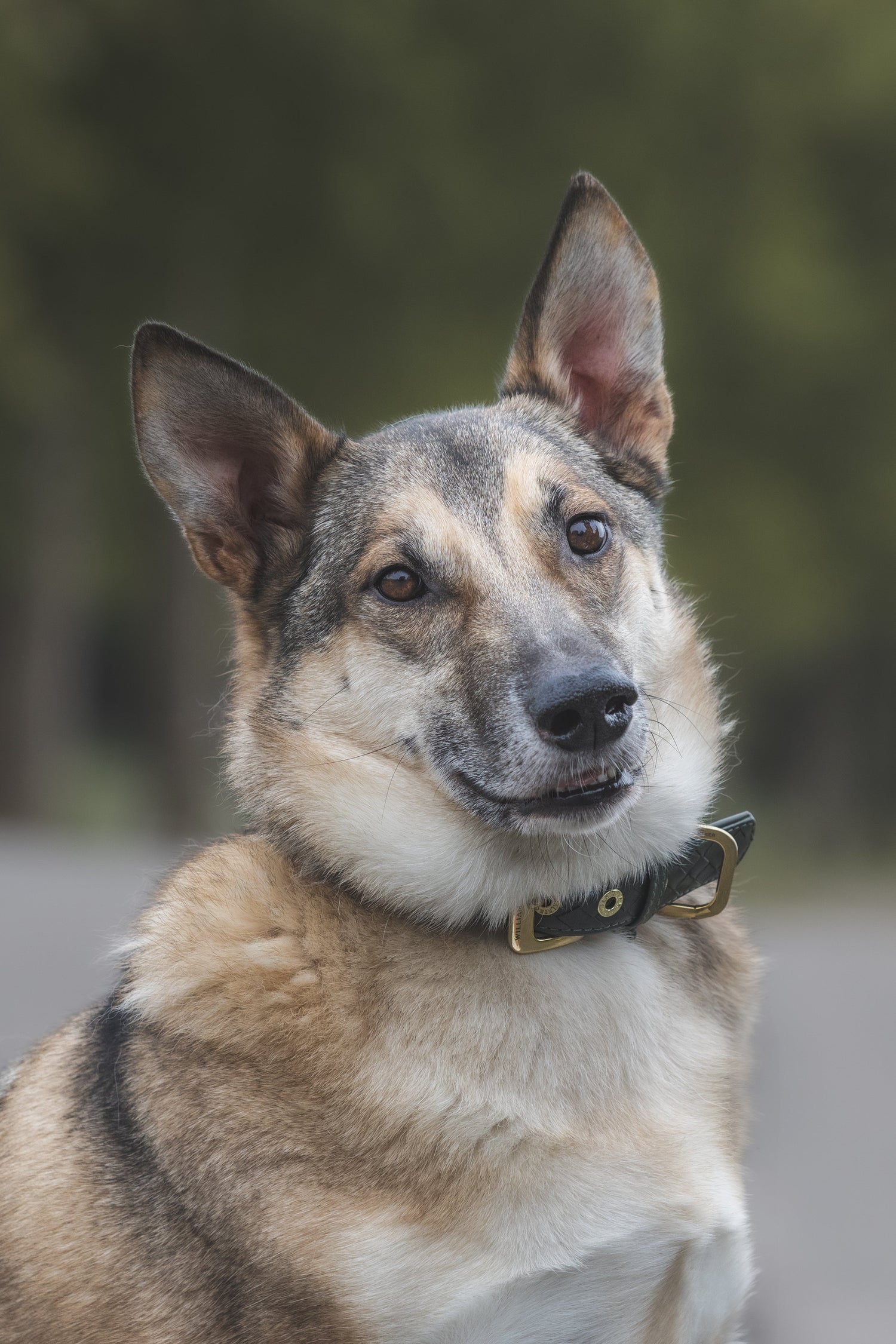 Apollos Abenteuersnacks