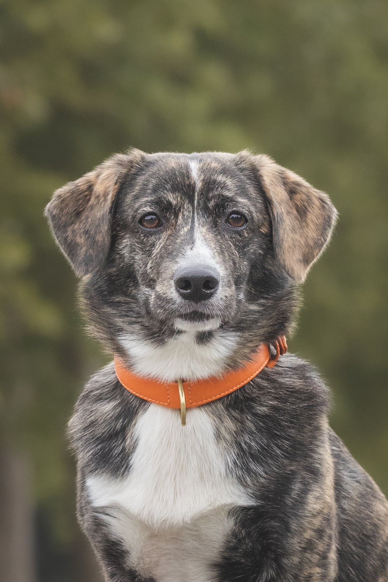 Lottes Lieblingsstücke