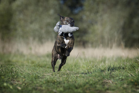 LABONI - Hundespielzeug - Nina Nilpferd