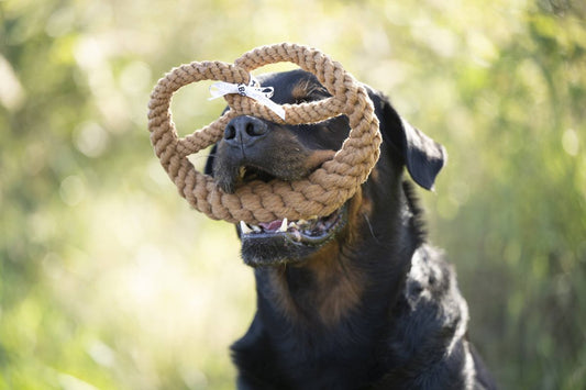 LABONI - Hundespielzeug - Britta Brezel