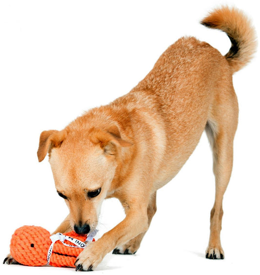 LABONI - Hundespielzeug - Thaddäus Tintenfisch