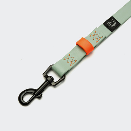 Cloud7 - BioThane® Schleppleine „Ipanema“ - 10m - Mint / Neon-Orange