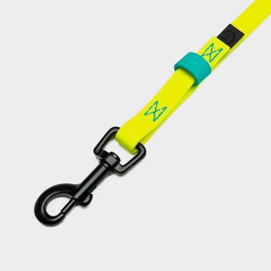 Cloud7 - BioThane® Schleppleine „Ipanema“ - 10m - Neon Yellow-Aqua