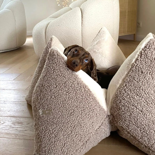 FLUM Manufaktur - Hundekissen Socke Socke Creamy – Handgefertigtes Luxus-Bett in Teddy-Optik