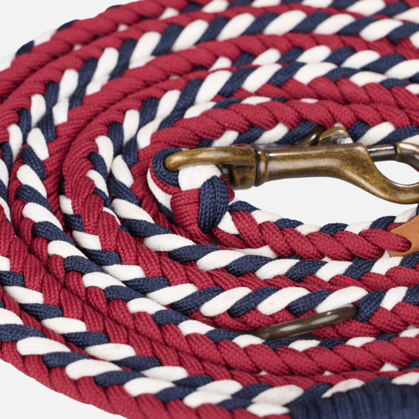 William Walker - Paracord - Leine - Royal