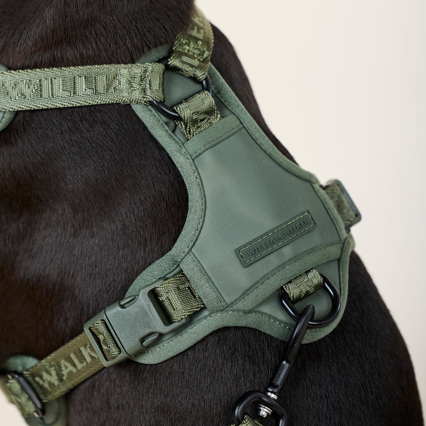 William Walker - Y-Hundegeschirr Forest - Ergonomisches Mesh- & Neopren-Geschirr (Grün)