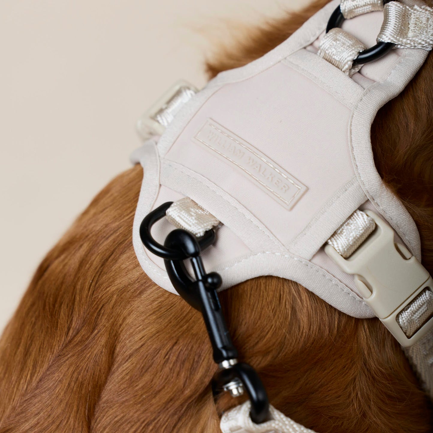 William Walker - Y-Hundegeschirr Sand - Ergonomisches Mesh- & Neopren-Geschirr (Beige)