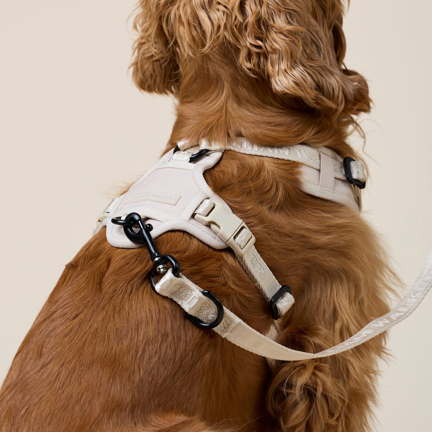 William Walker - Y-Hundegeschirr Sand - Ergonomisches Mesh- & Neopren-Geschirr (Beige)