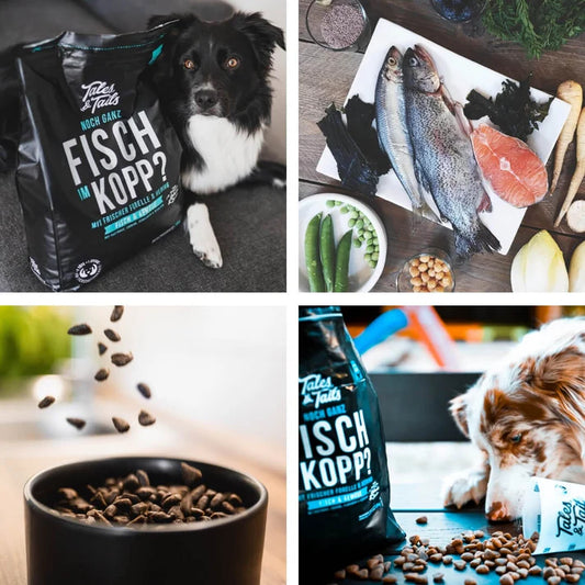 Tales&Tails - Trockenfutter - Fisch im Kopp?