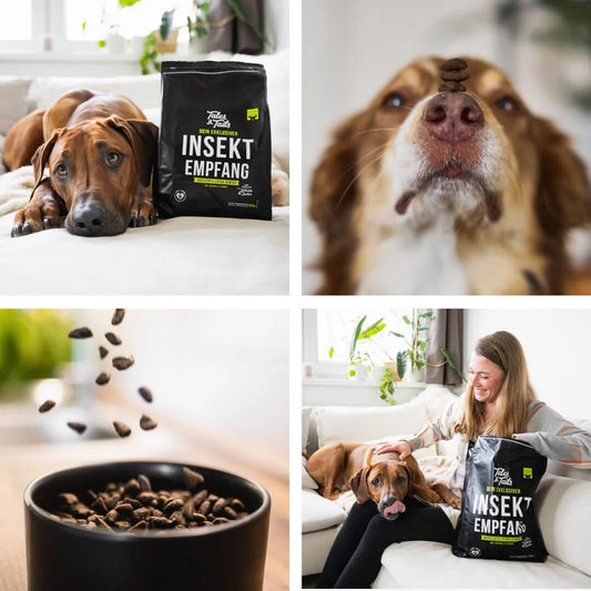 Tales & Tails - Trockenfutter - InSektempfang - 1,5 kg
