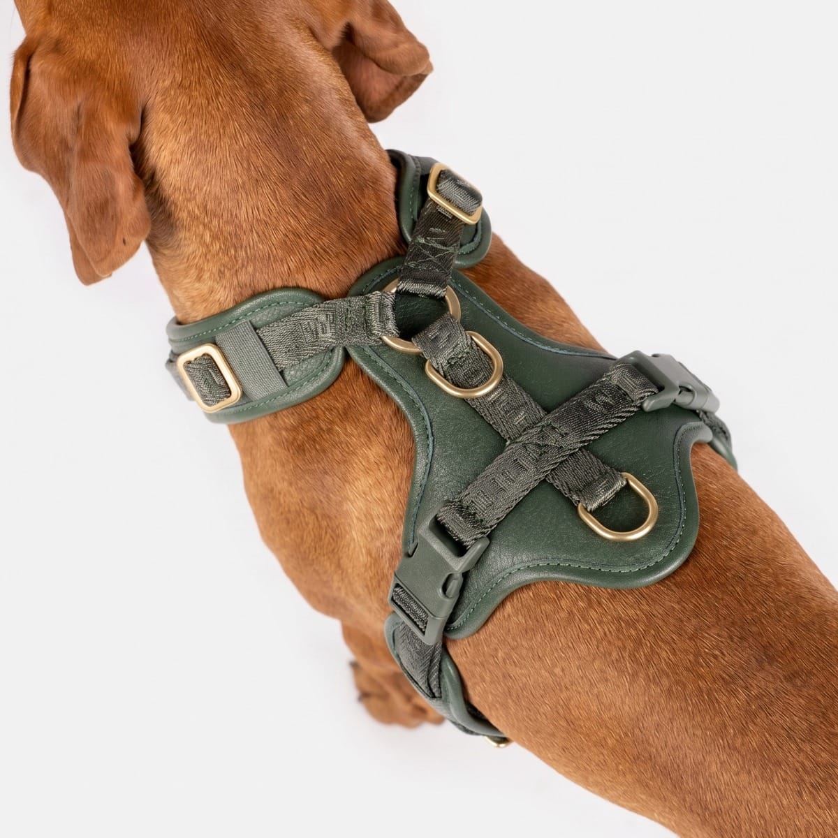 William Walker - Leder Y-Hundegeschirr "Plain" in Dark Moss - Ergonomisch & Gepolstert