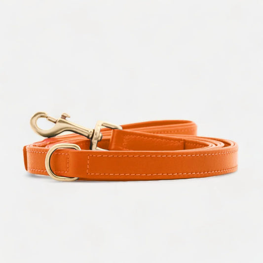 William Walker - Plain - Lederleine - Amber