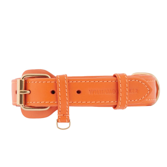 William Walker - Plain - Lederhalsband - Amber