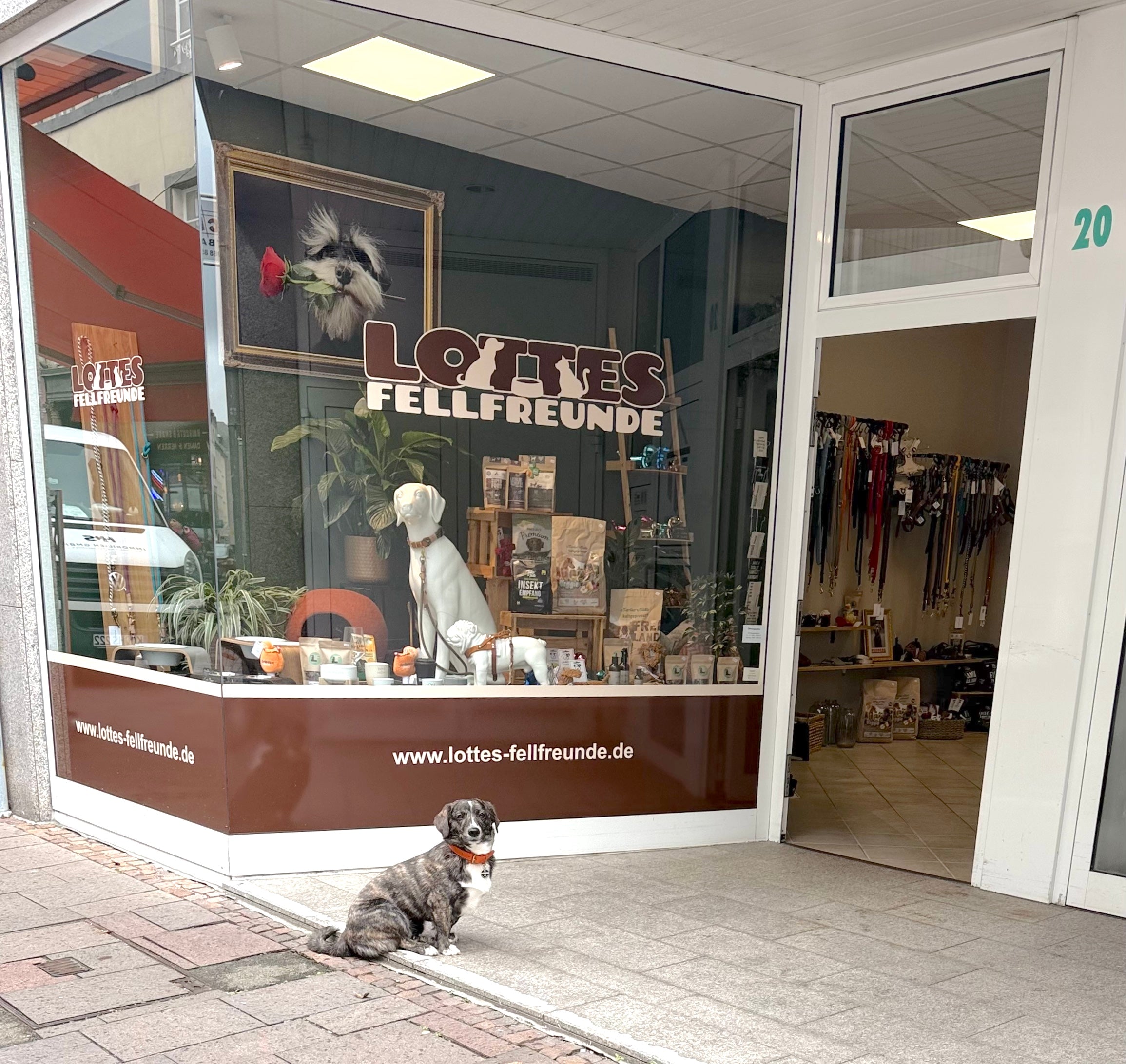 Lottes Fellfreunde Ladenlokal in Koblenz - Fachgeschäft für Hunde und Katzen
