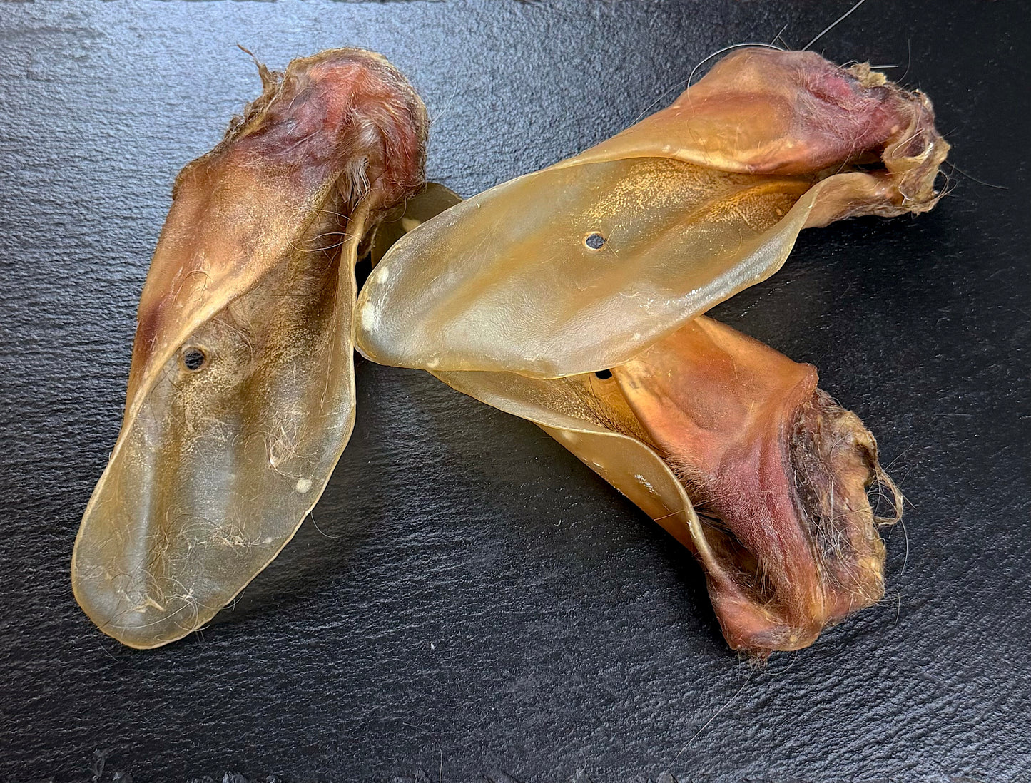 Ein großes, getrocknetes Rinderohr mit Ohrmuschel als fettarmer und zahnpflegender Kauartikel für Hunde von Lottes Fellfreunde.