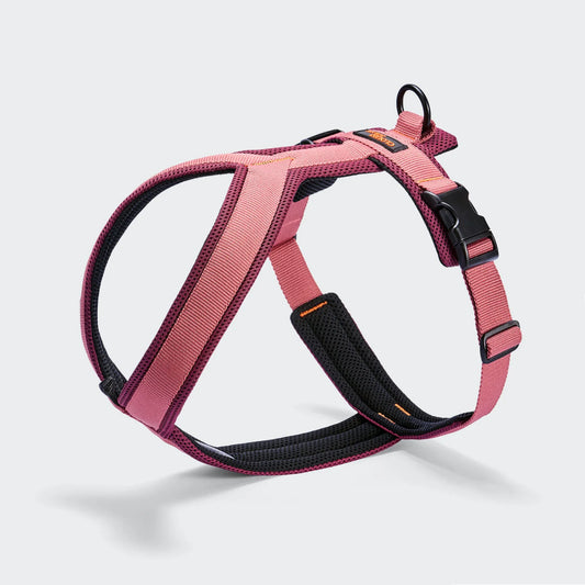 Ergonomisches Cloud7 Y-1 Geschirr AKTIV Air-Mesh in Aubergine und Soft Rose von Lottes Fellfreunde.