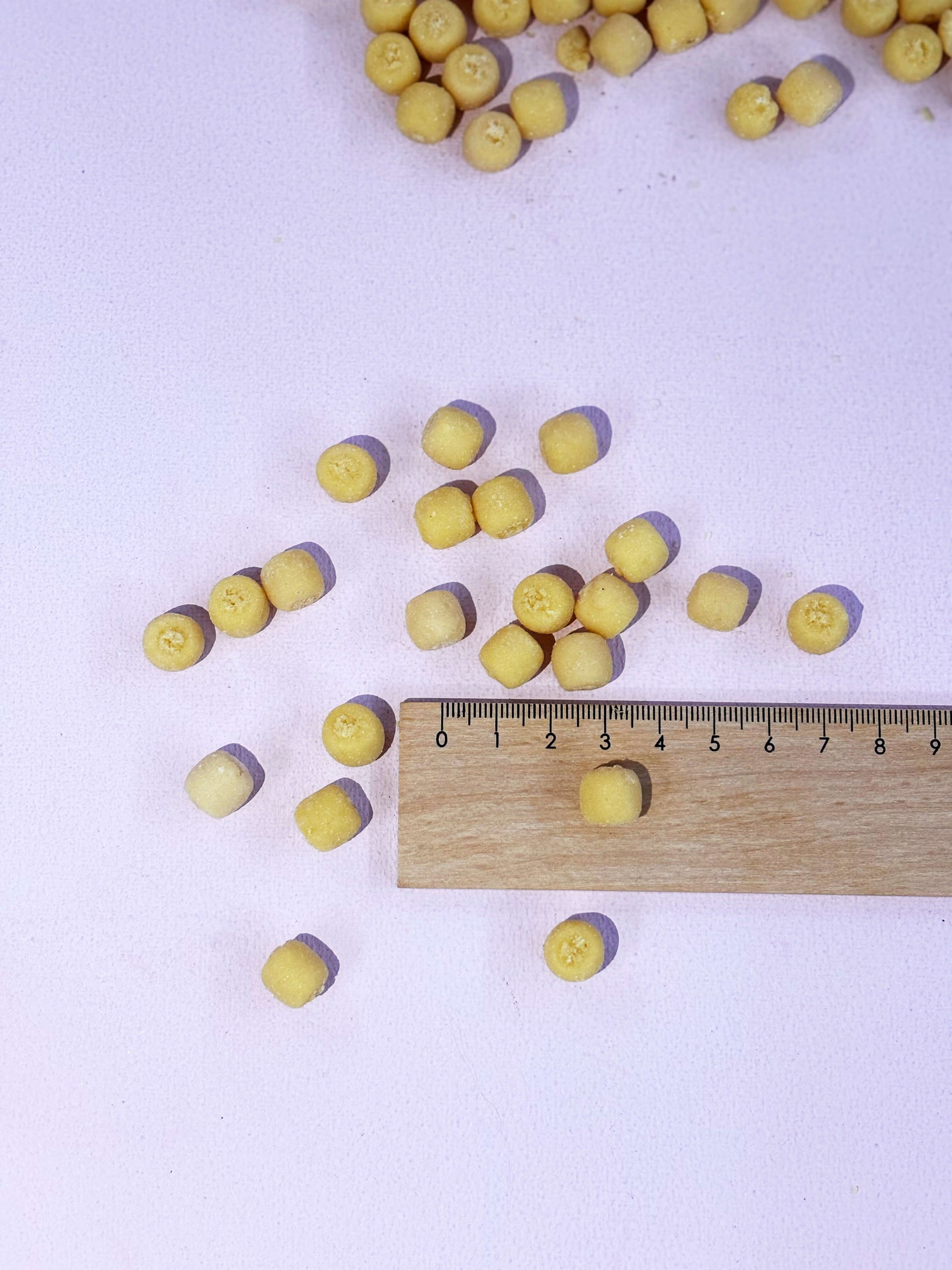 Größenvergleich der soften Hundeleckerli "Kokos Blubbles" von Snackwerk mit Lineal bei Lottes Fellfreunde