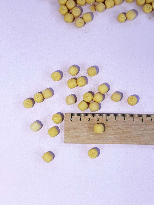 Größenvergleich der soften Hundeleckerli "Kokos Blubbles" von Snackwerk mit Lineal bei Lottes Fellfreunde