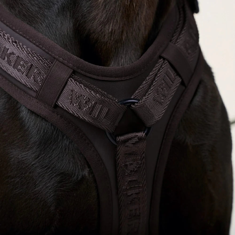 Braunes William Walker Y-Hundegeschirr Apex Earth mit Mesh-Polsterung und schwarzen Beschlägen bei Lottes Fellfreunde.