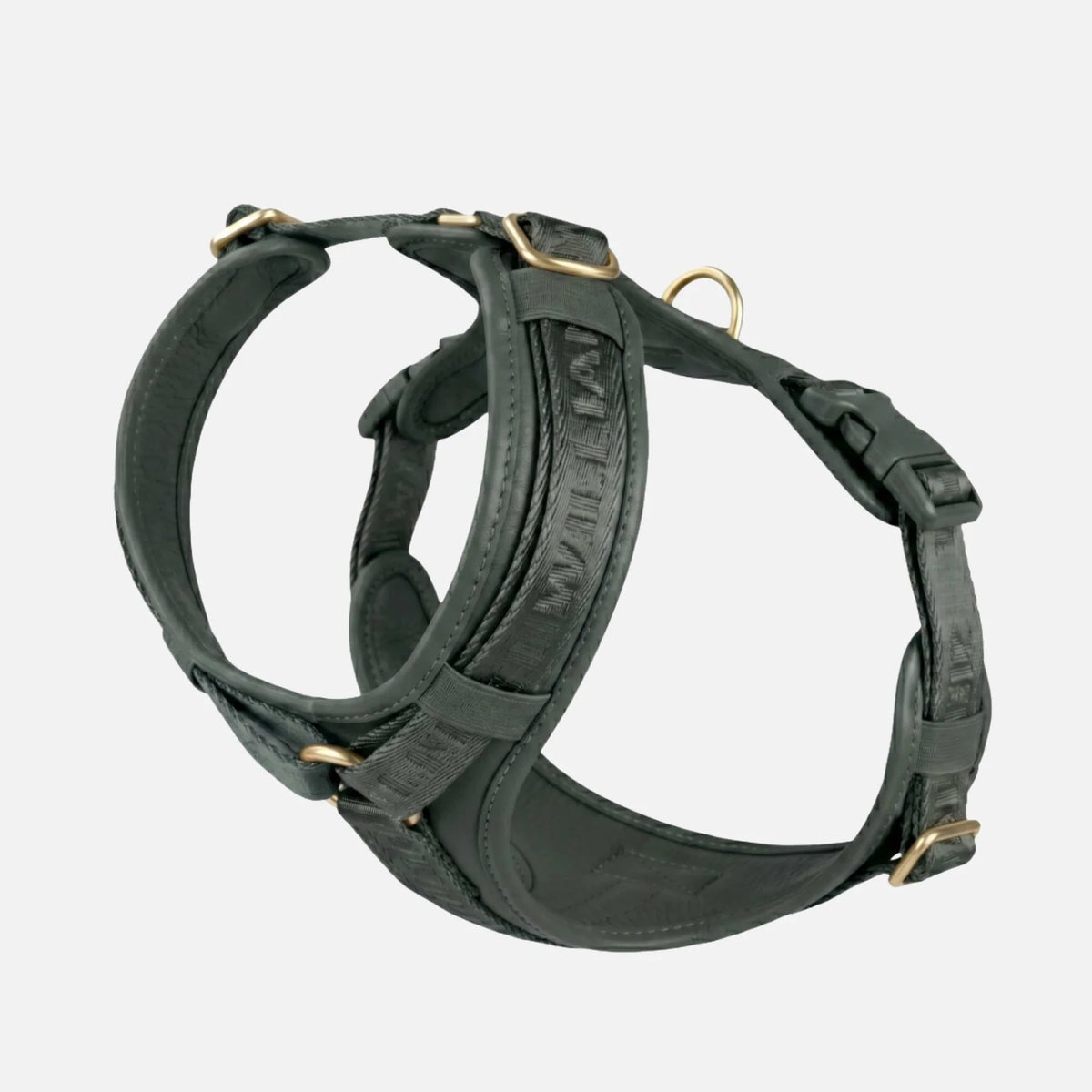 Ergonomisches William Walker Y-Hundegeschirr Plain Dark Moss aus gepolstertem Rindsleder mit Messingbeschlägen von Lottes Fellfreunde.