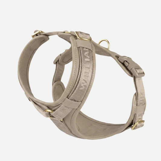 Ergonomisches William Walker Y-Hundegeschirr Plain Sand aus gepolstertem Rindsleder mit Messingbeschlägen von Lottes Fellfreunde.